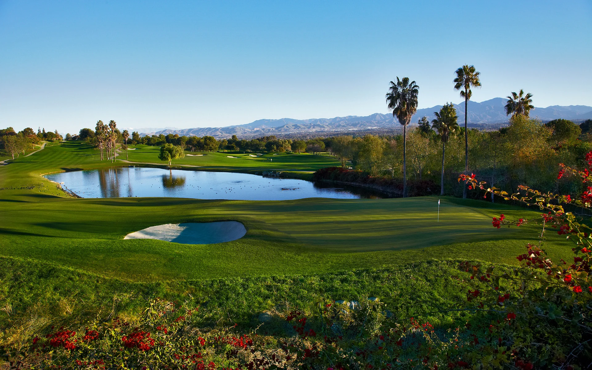 Golf course photo