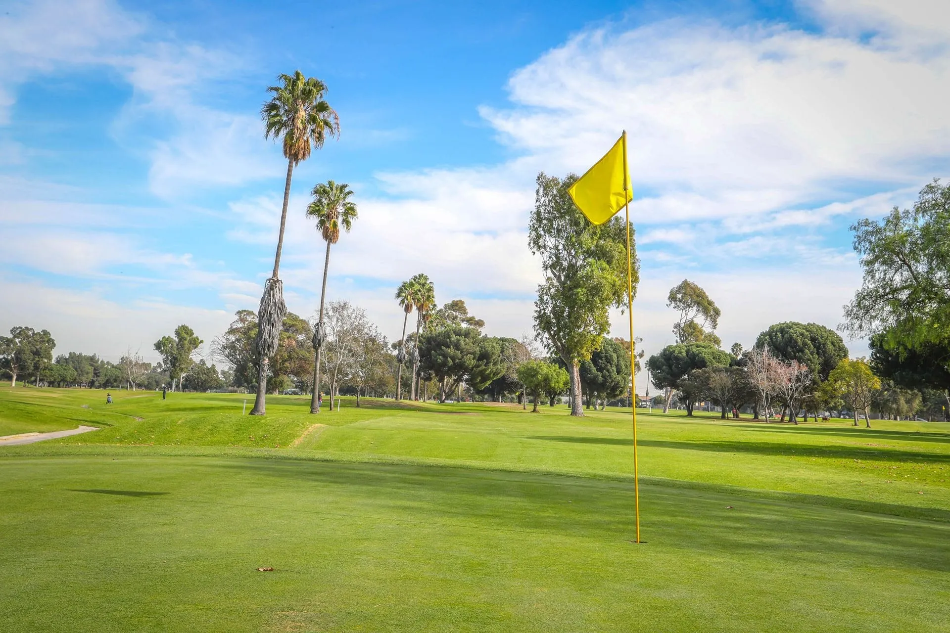 Golf course photo