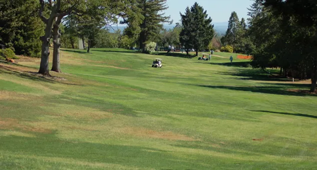 Golf course photo
