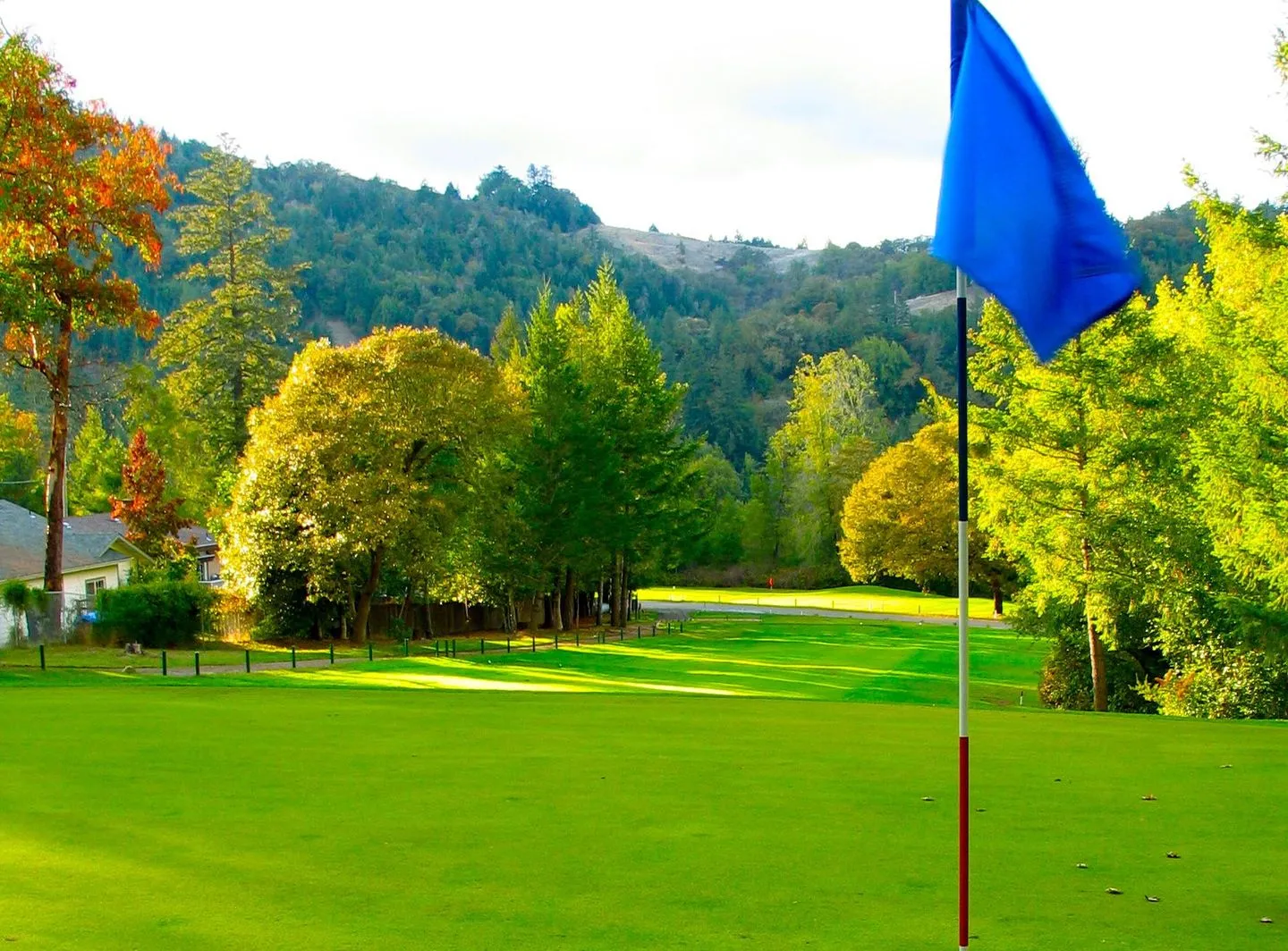 Golf course photo