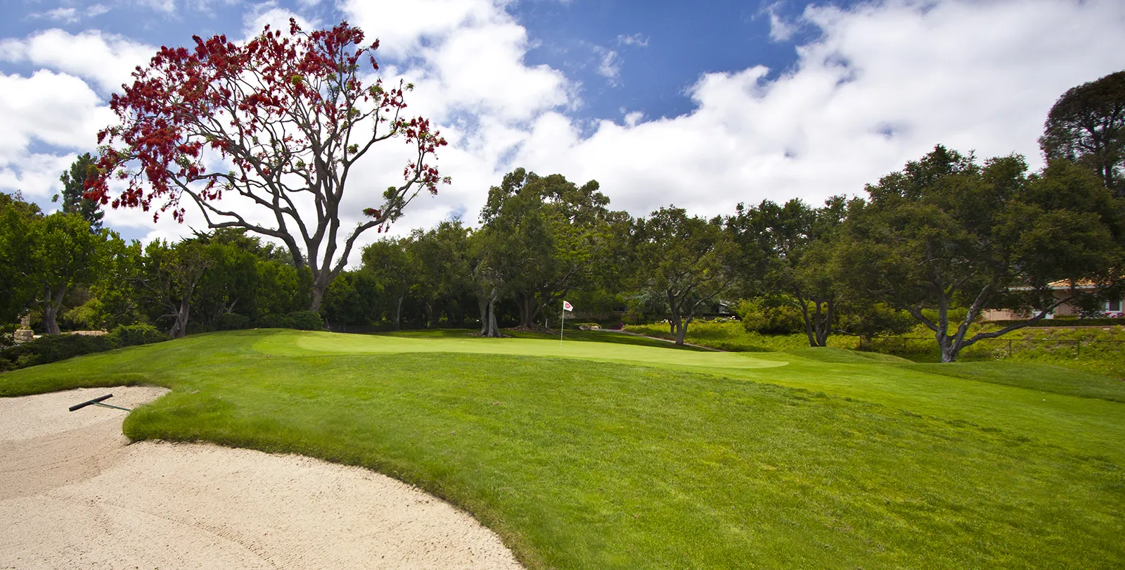Golf course photo