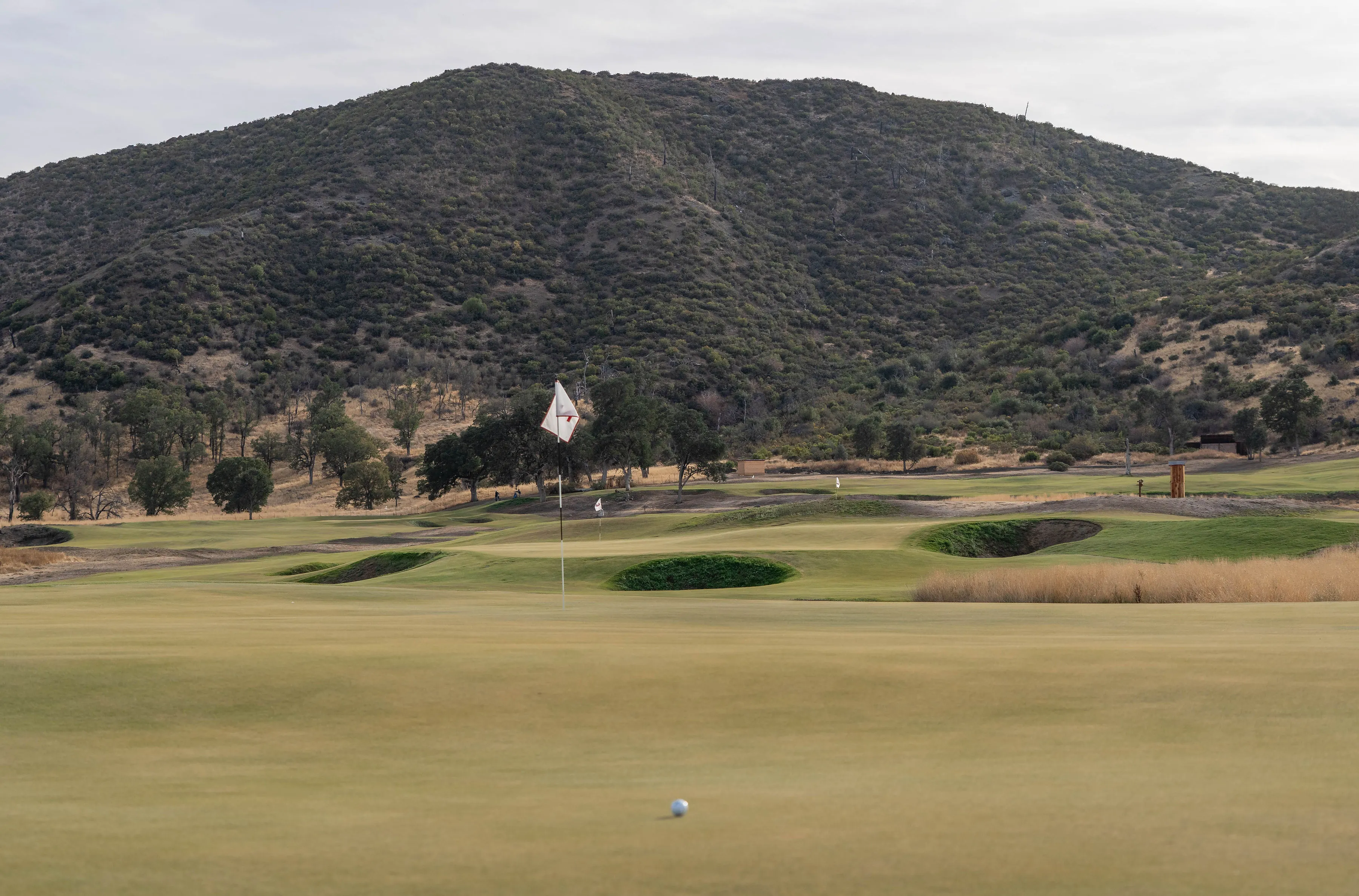 Golf course photo