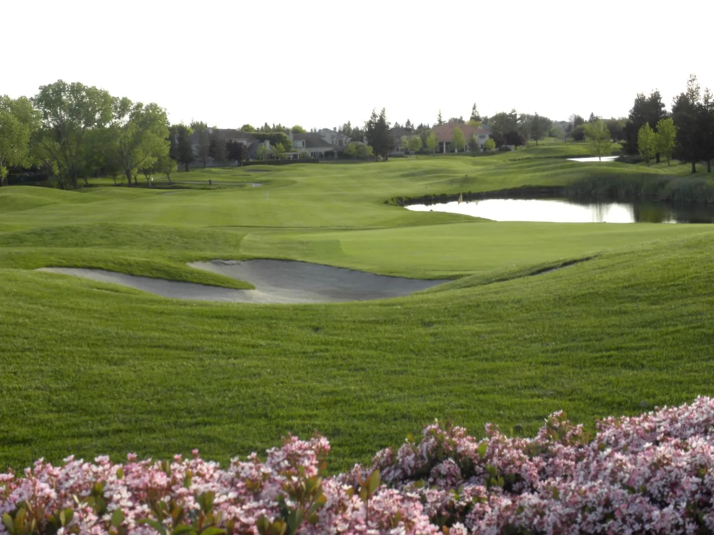 Golf course photo