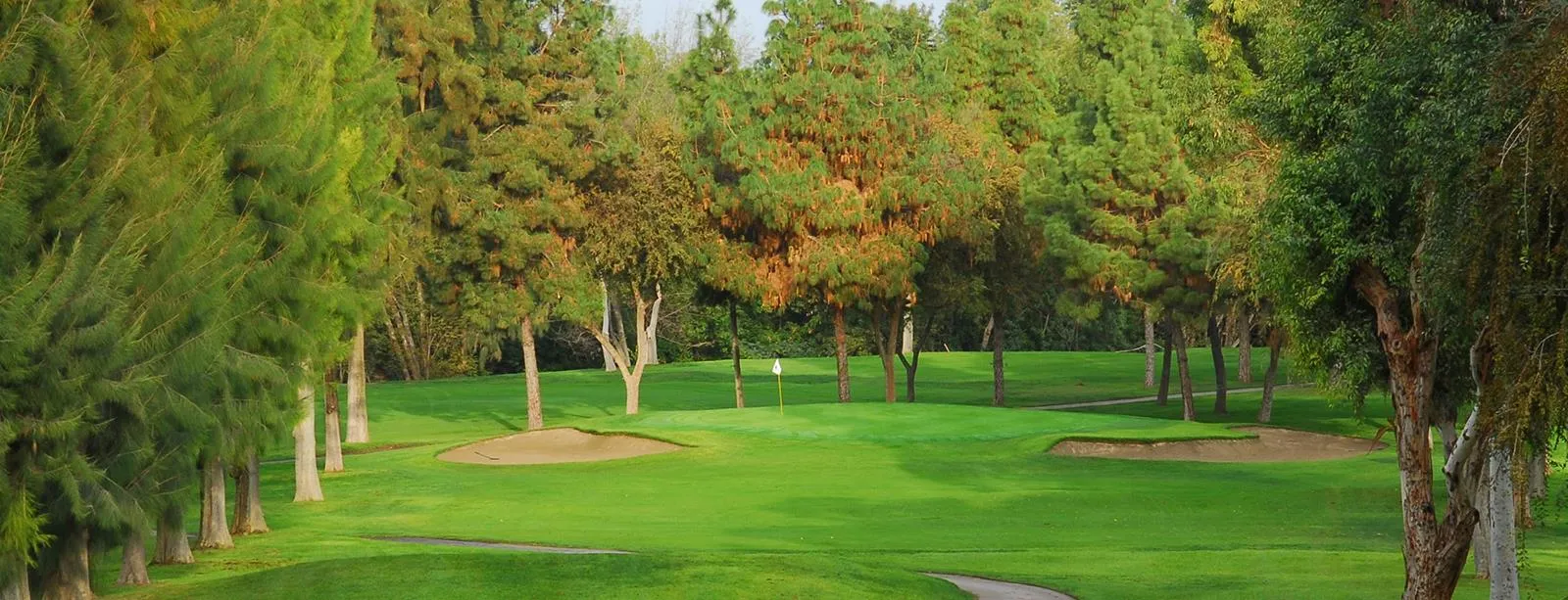 Golf course photo