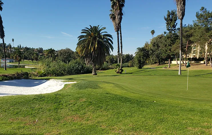 Golf course photo