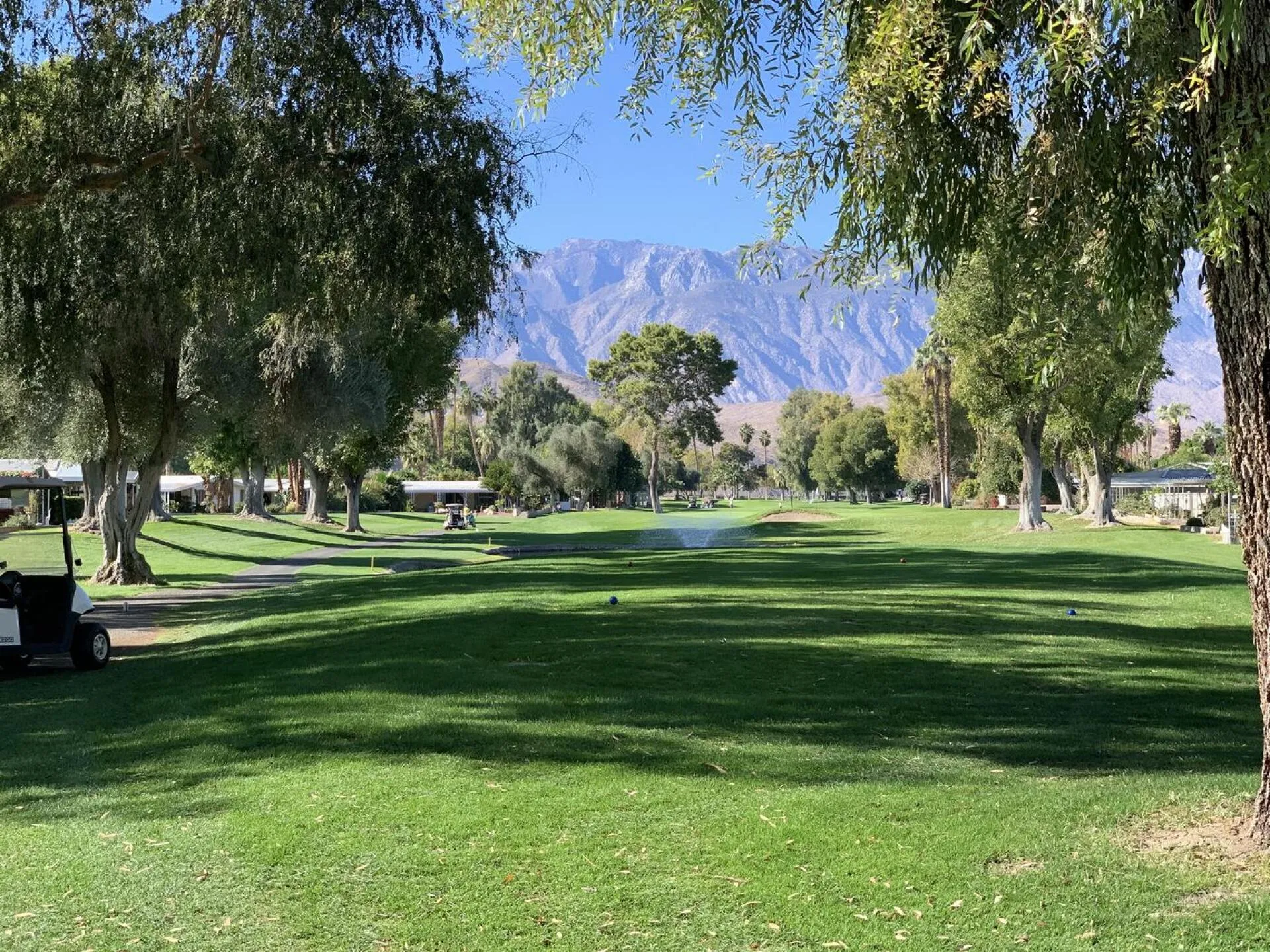 Golf course photo