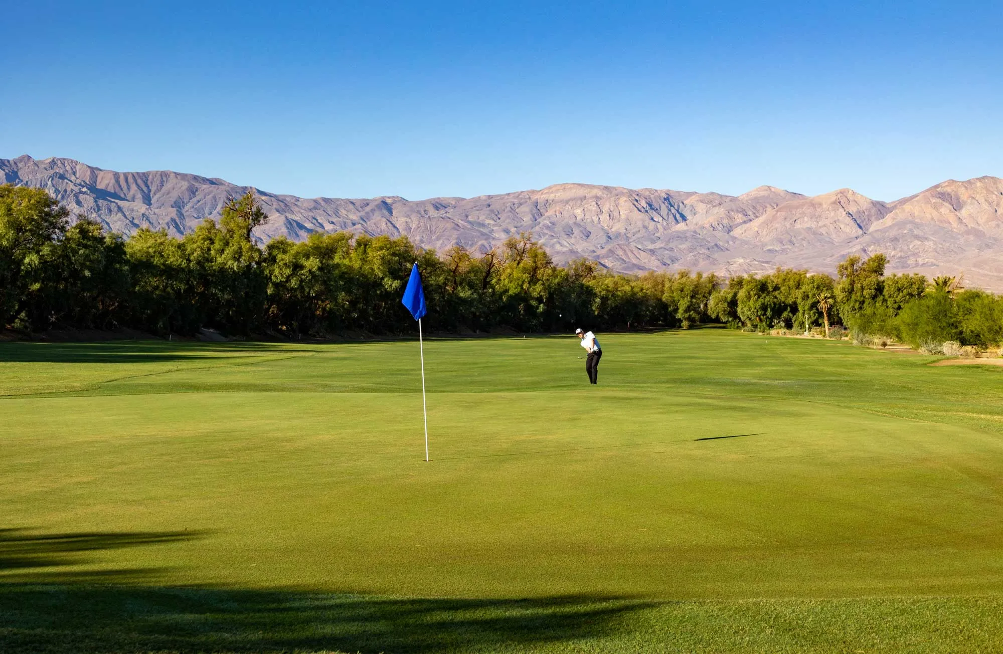 Golf course photo