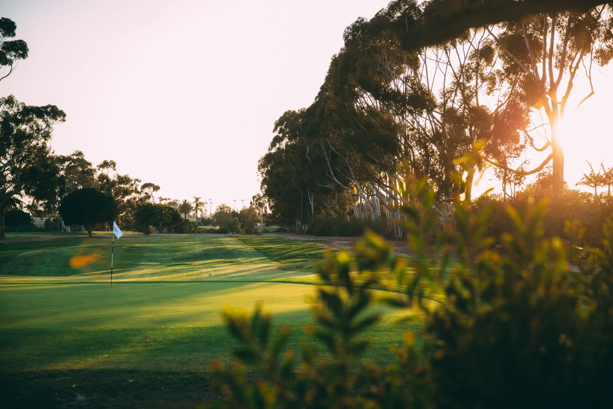 Golf course photo