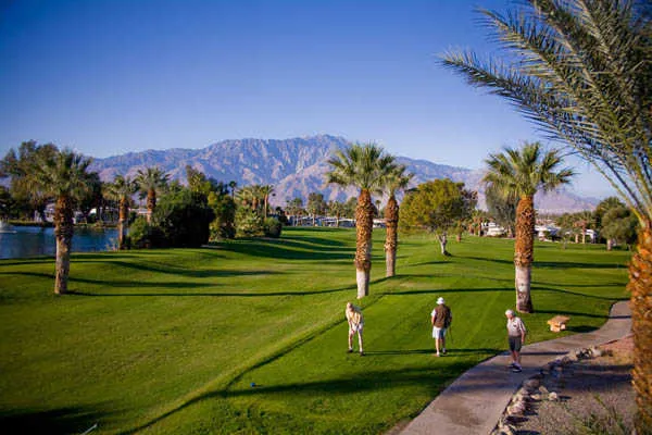 Golf course photo
