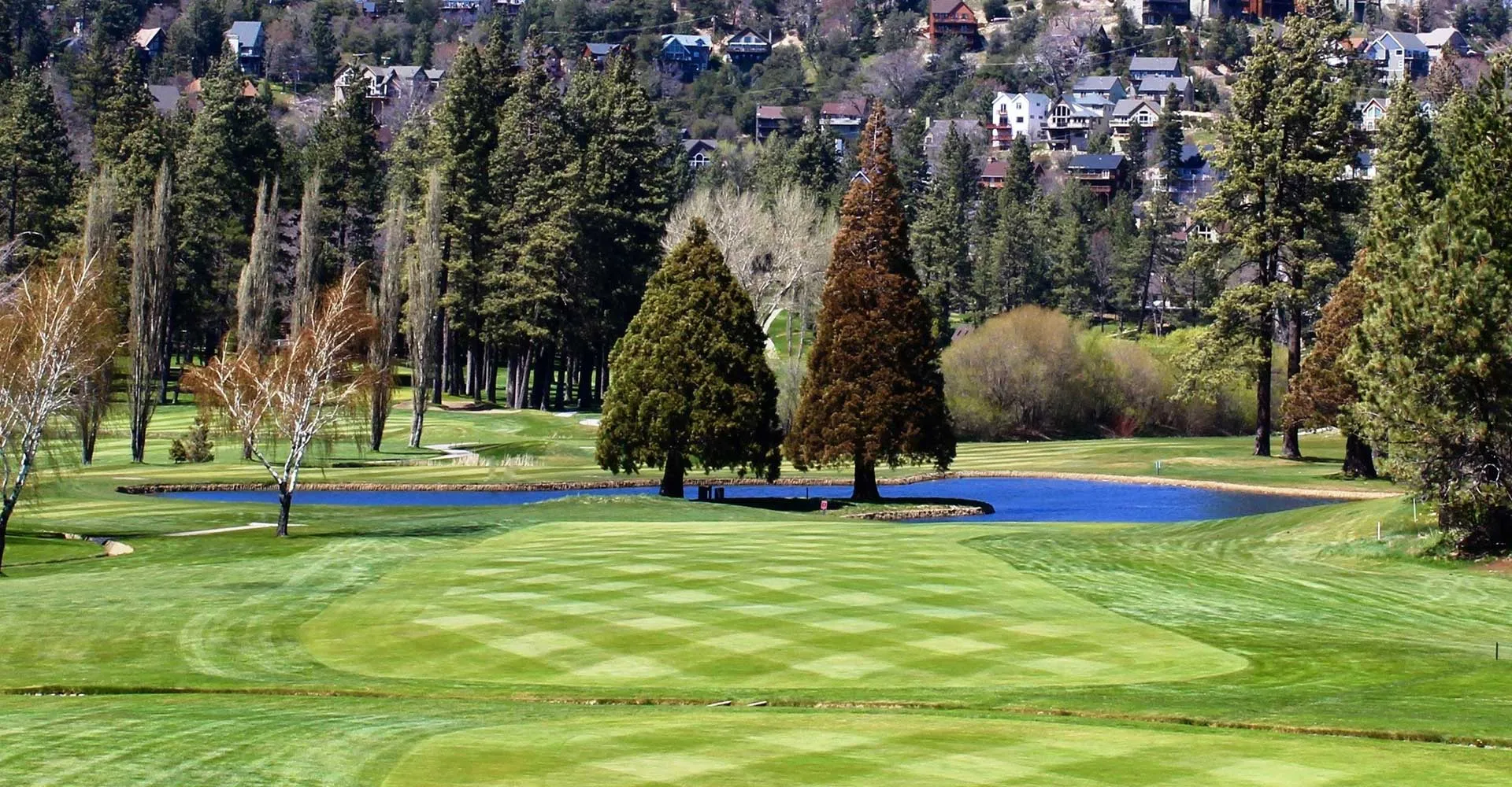 Golf course photo
