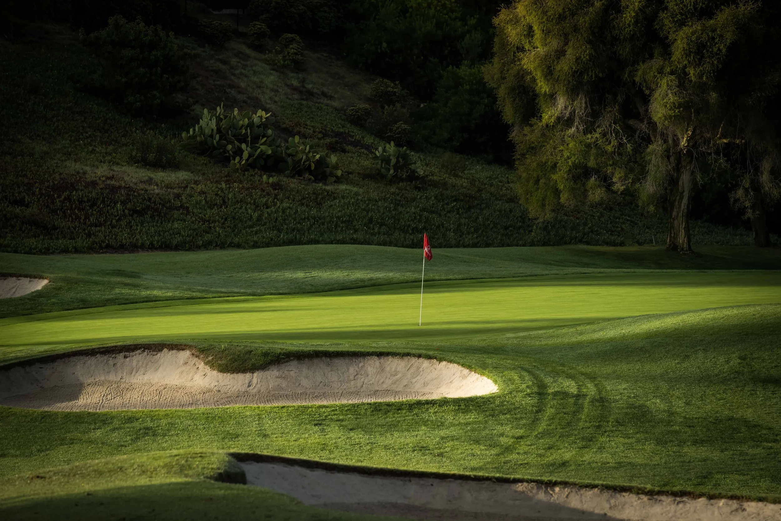 Golf course photo