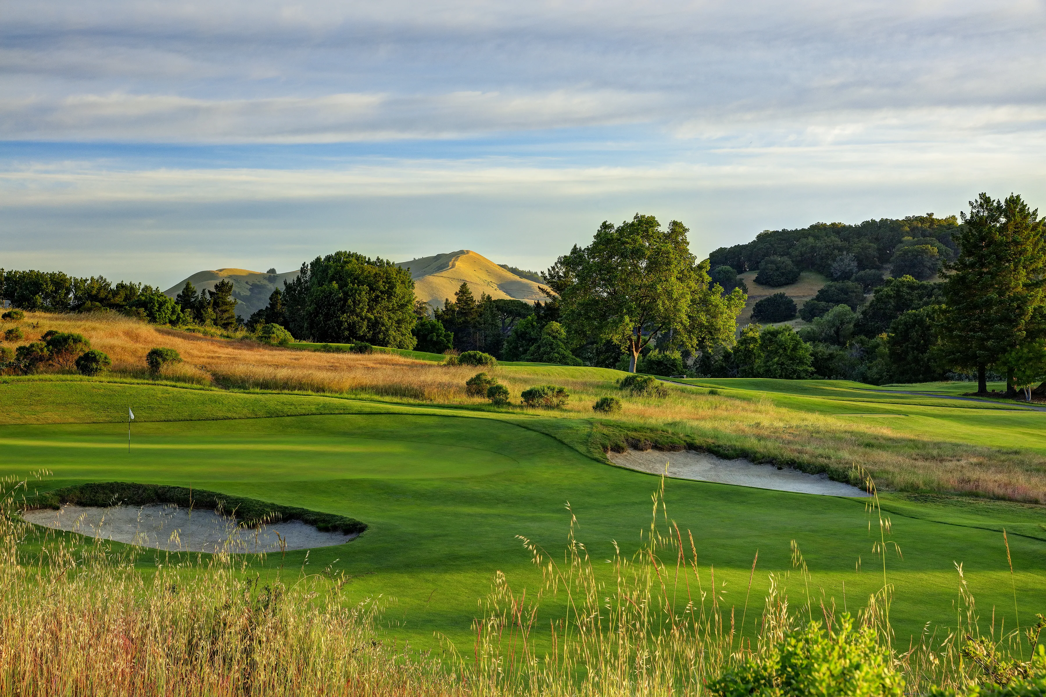 Golf course photo