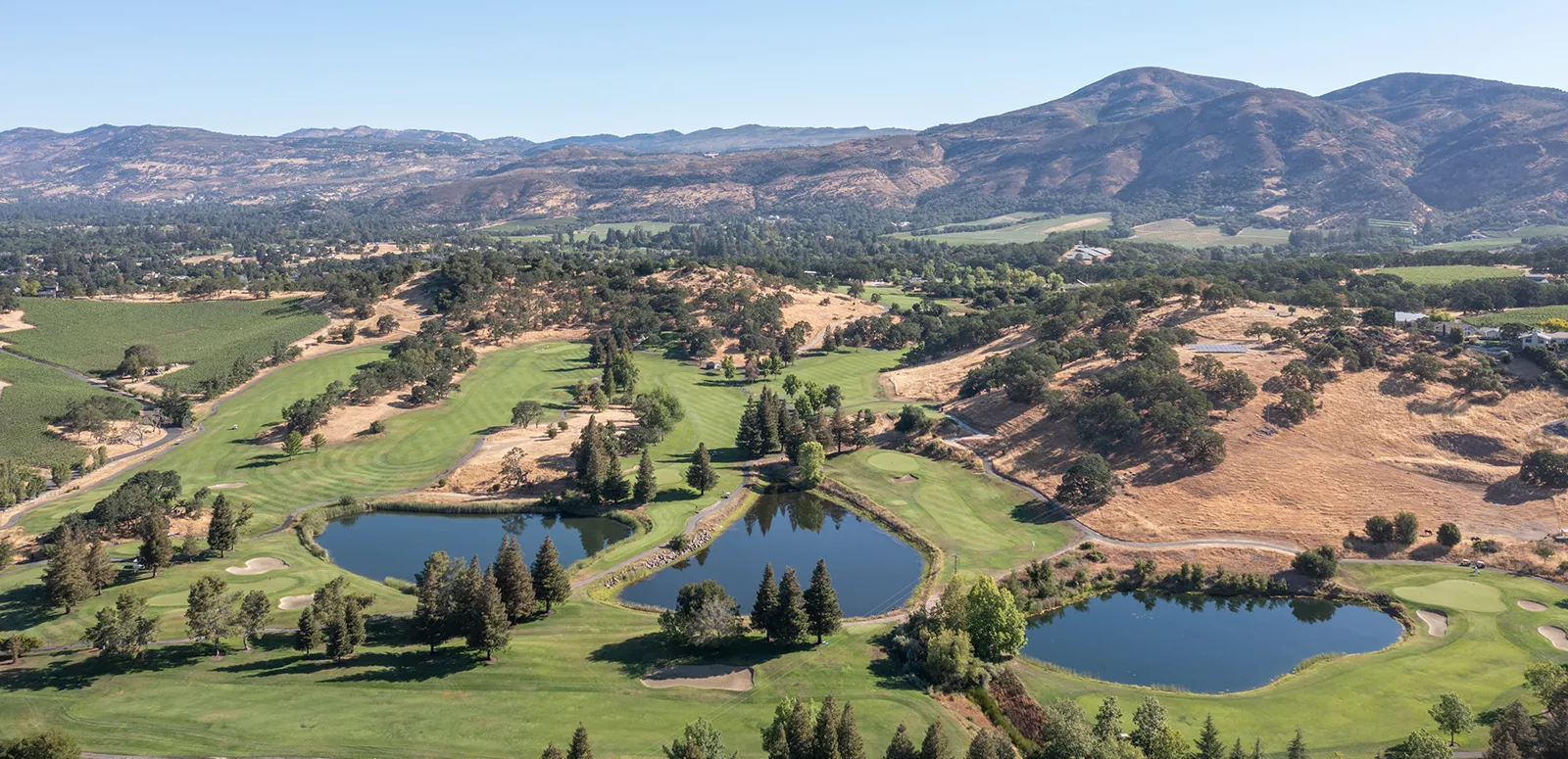 Golf course photo