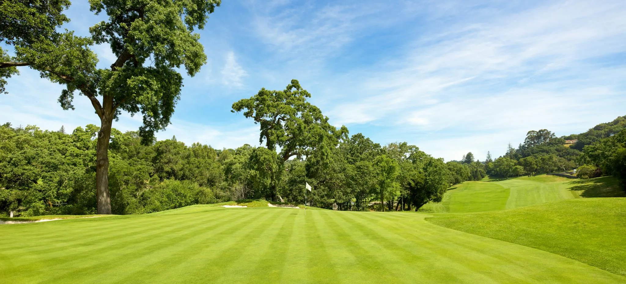 Golf course photo