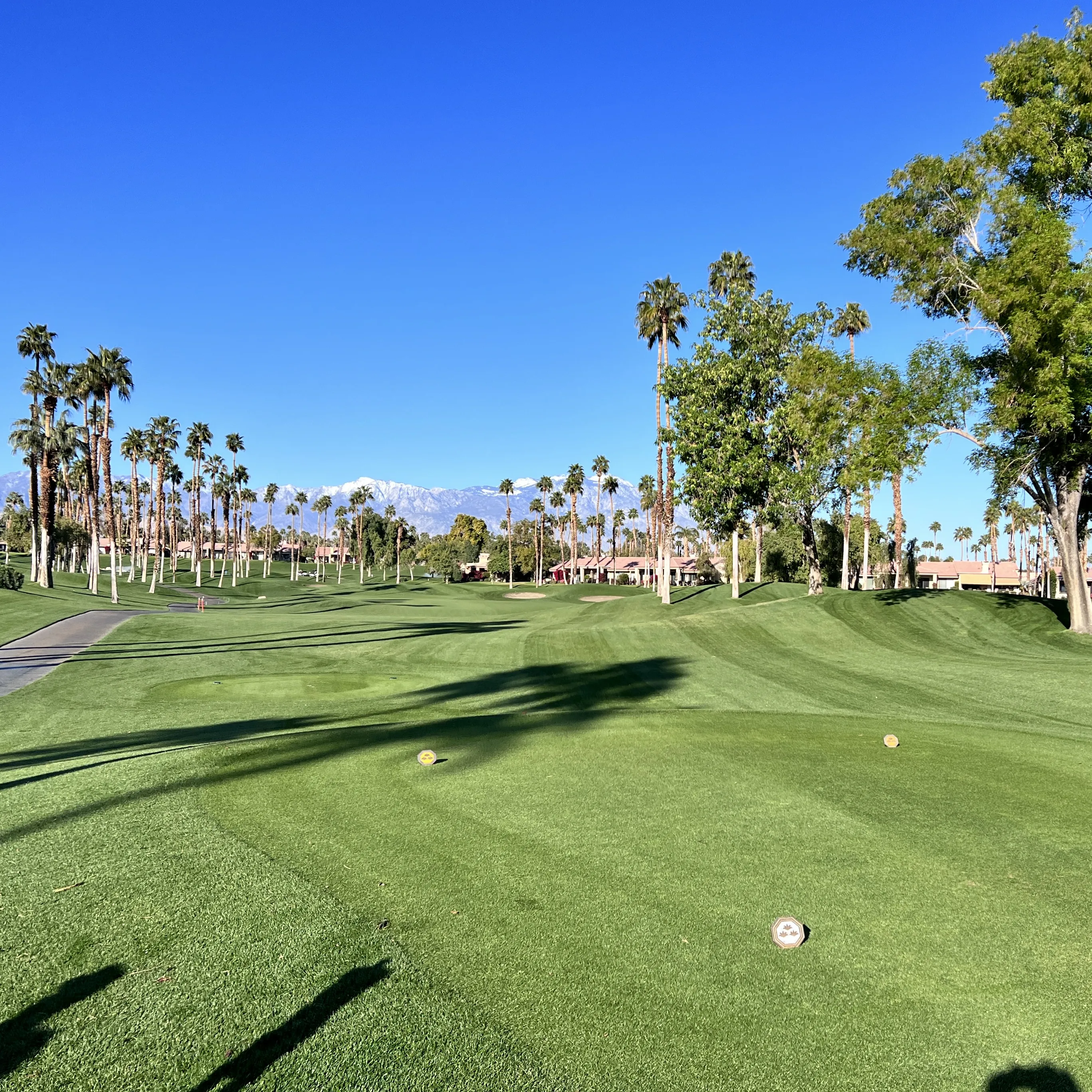 Golf course photo