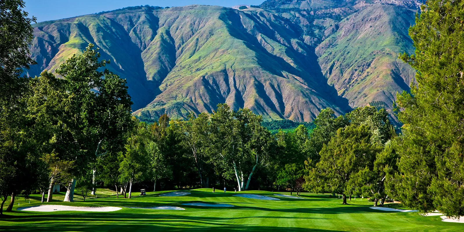Golf course photo