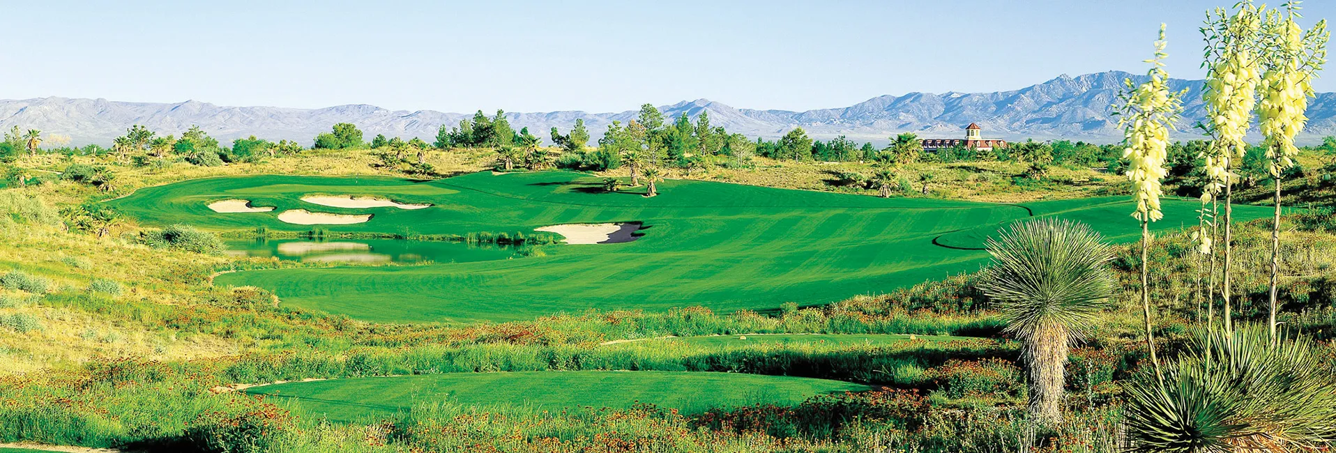 Golf course photo