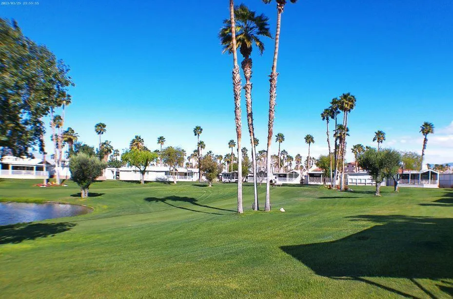 Golf course photo
