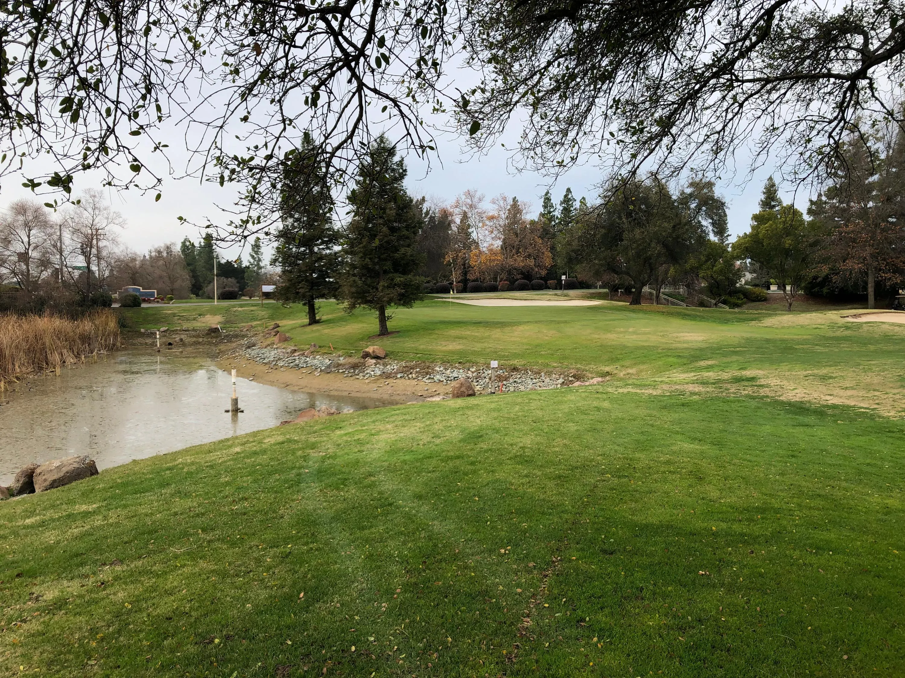 Golf course photo