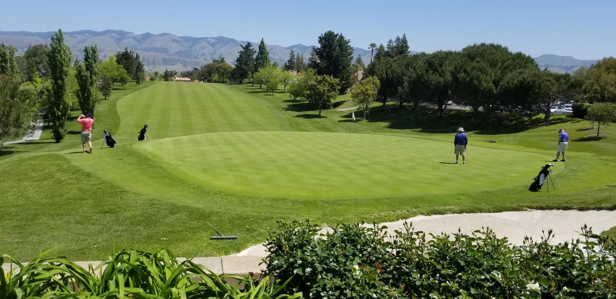 Golf course photo