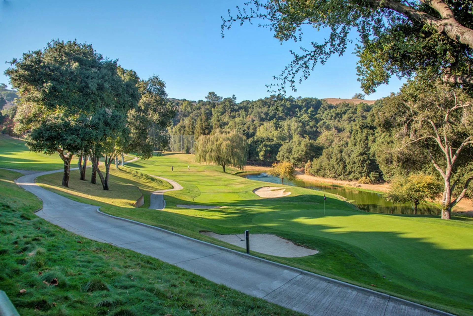 Golf course photo