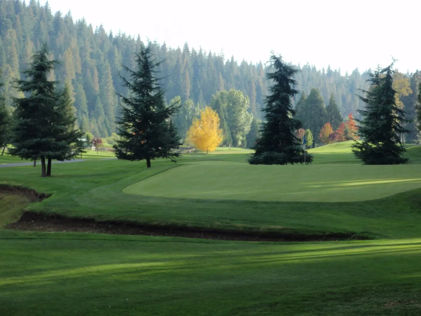 Golf course photo
