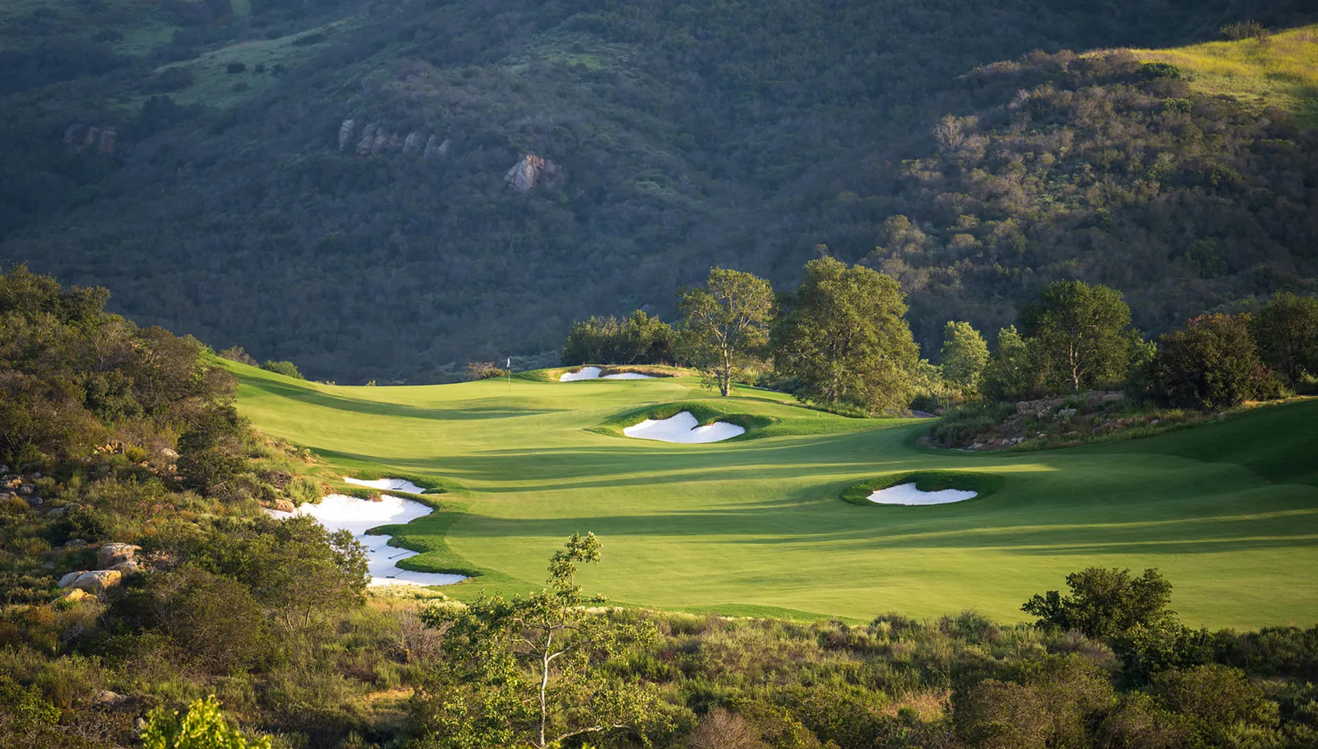 Golf course photo