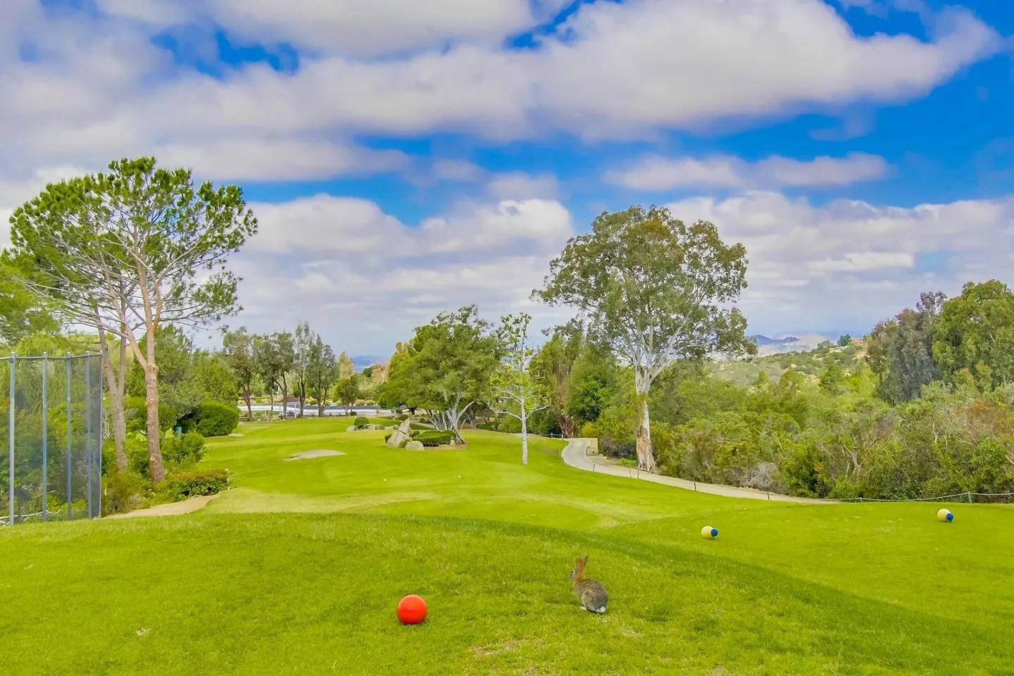 Golf course photo