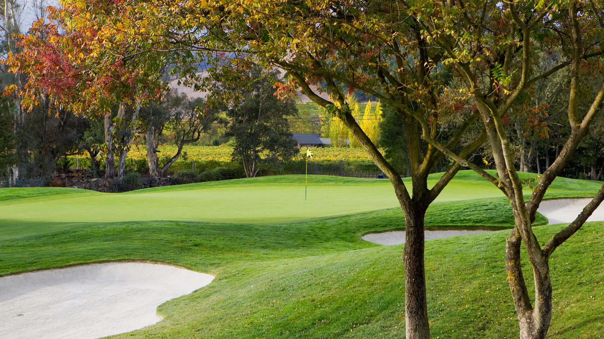 Golf course photo