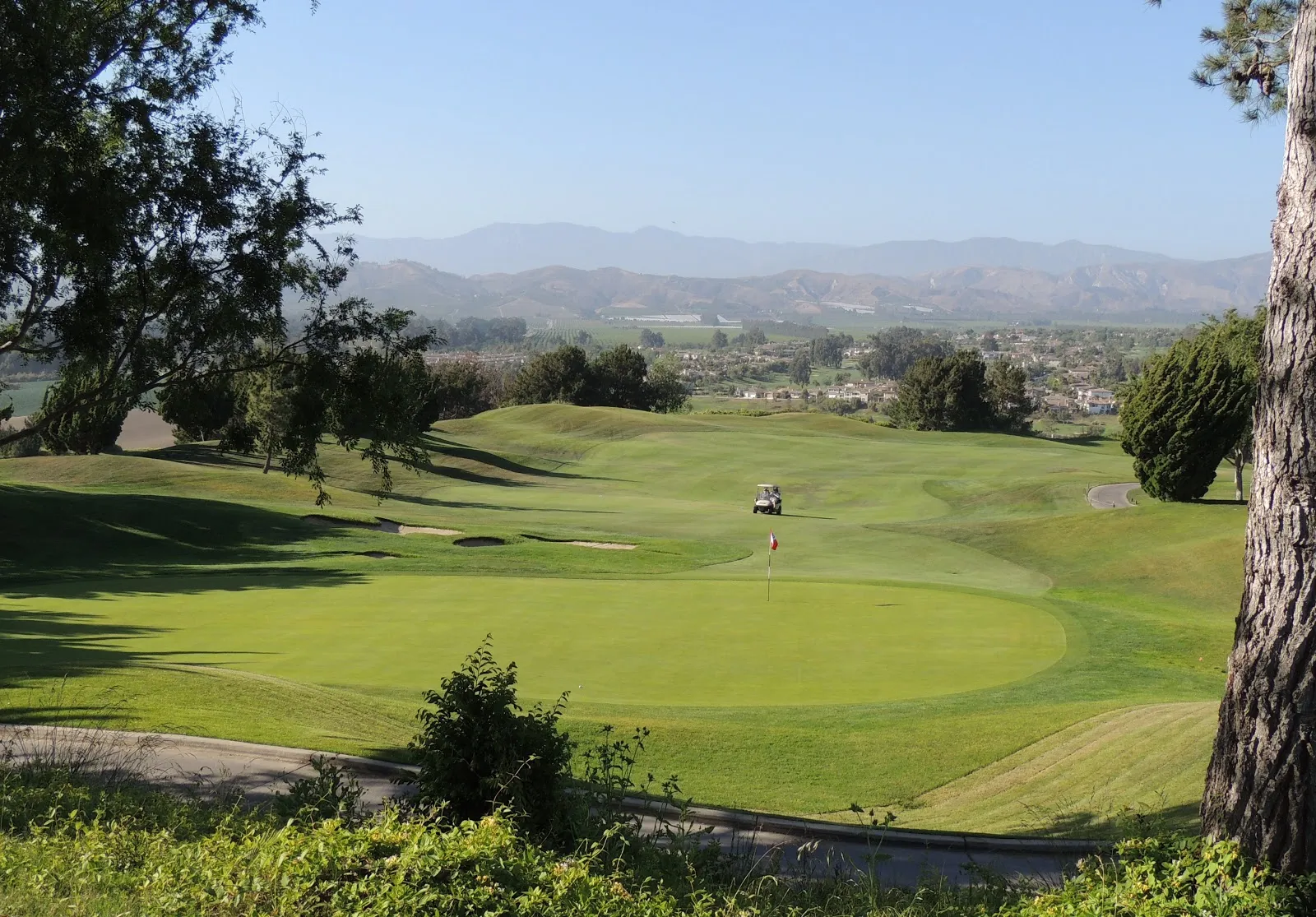 Golf course photo