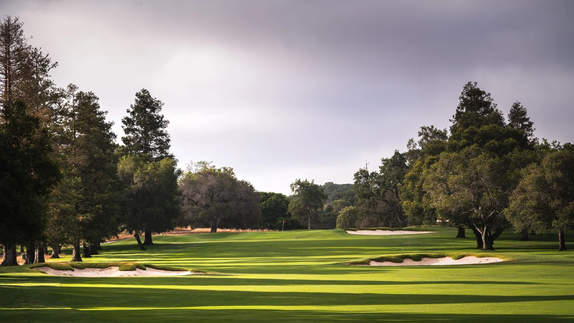 Golf course photo