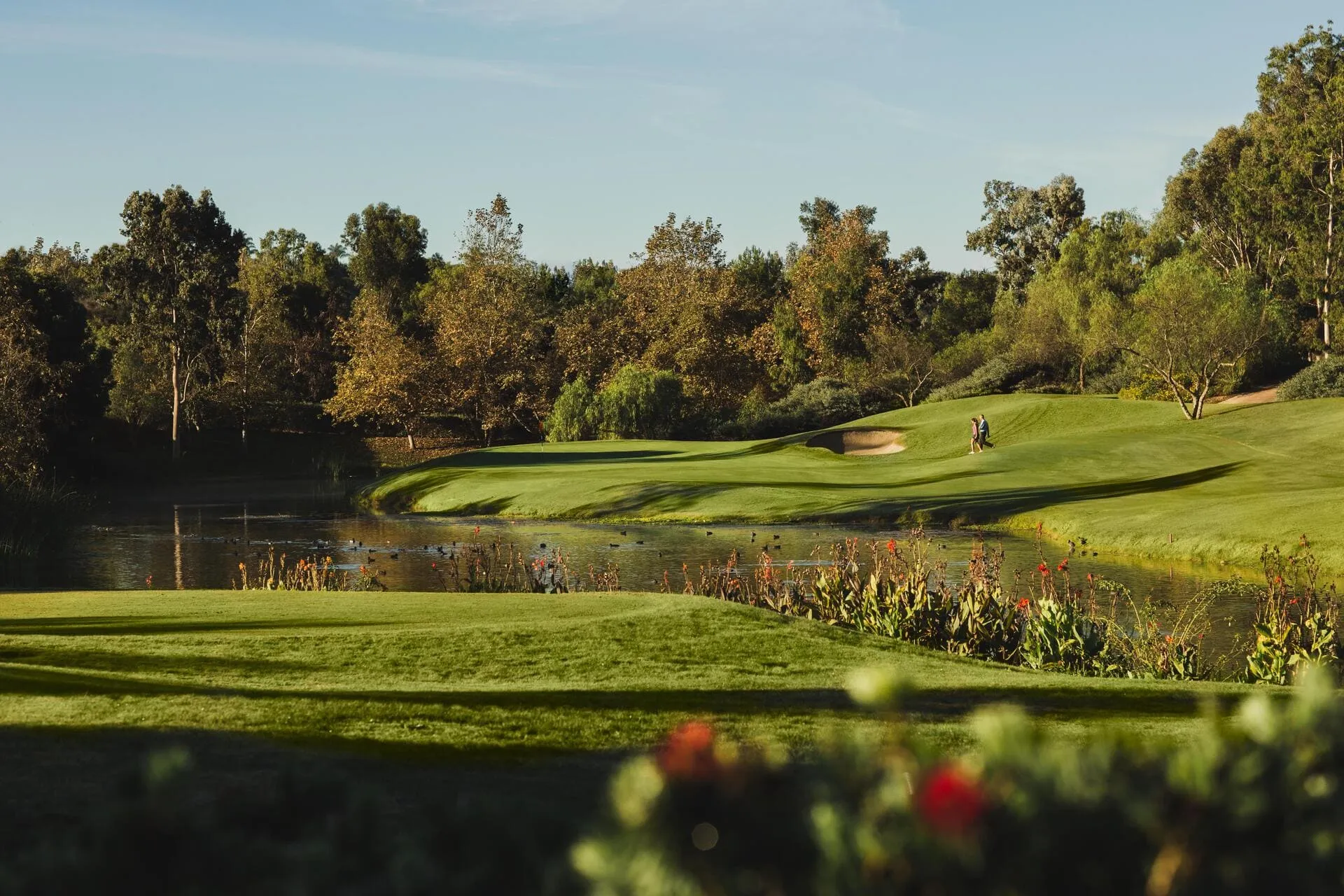 Golf course photo