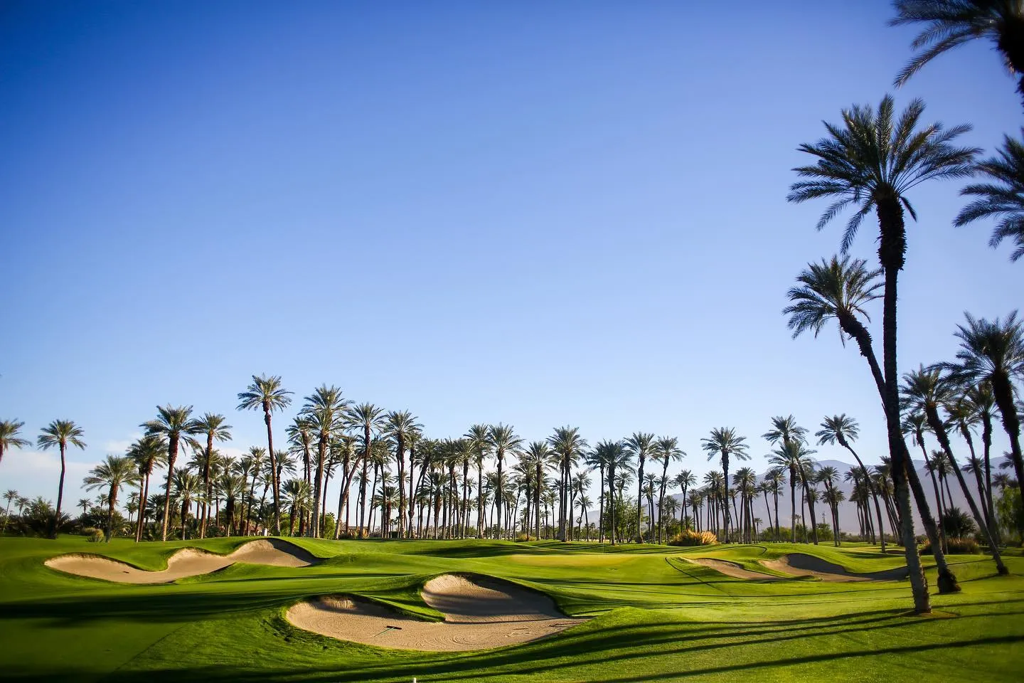 Golf course photo