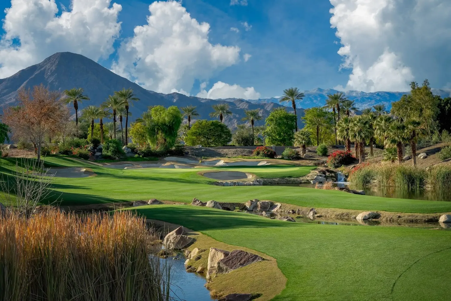 Golf course photo