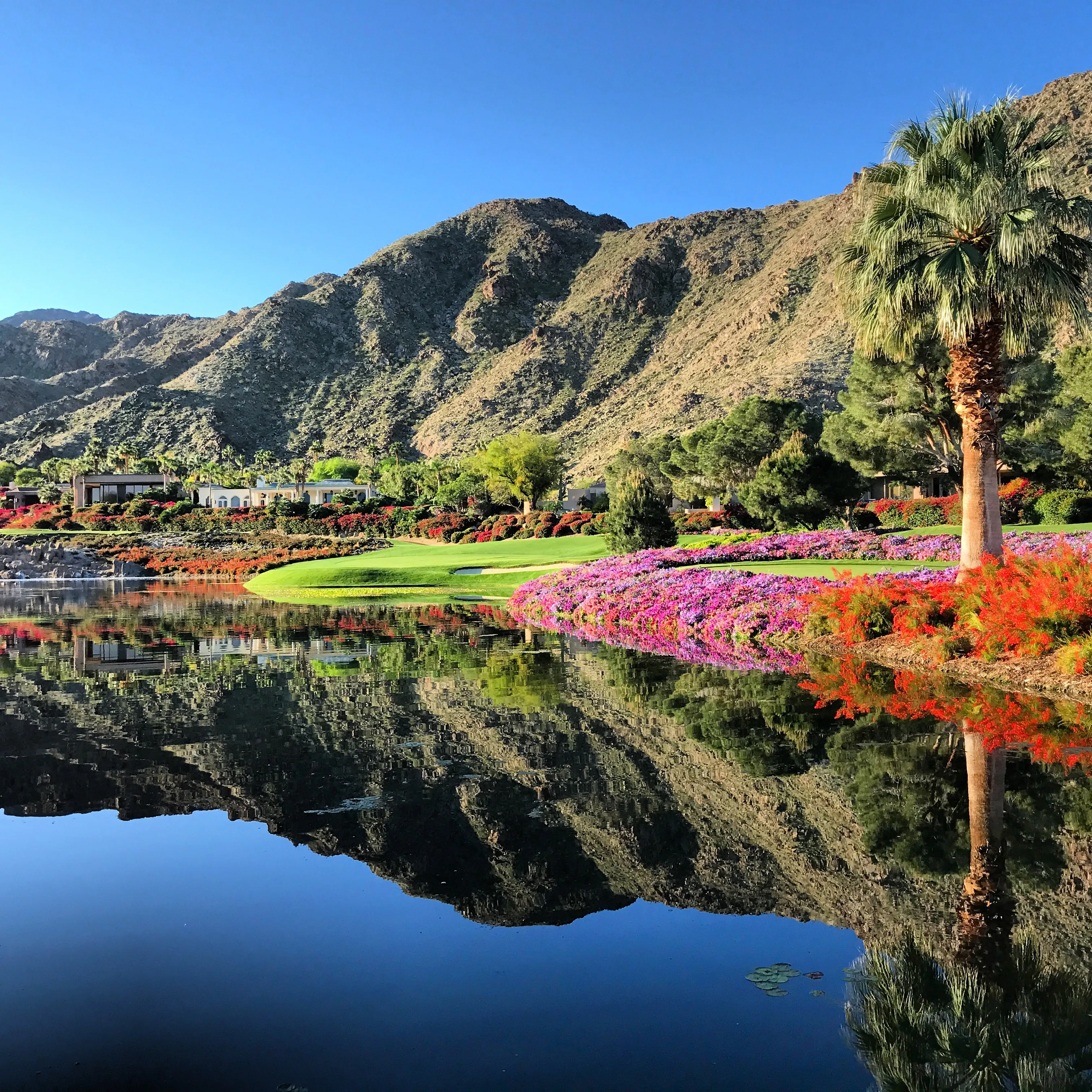 Golf course photo