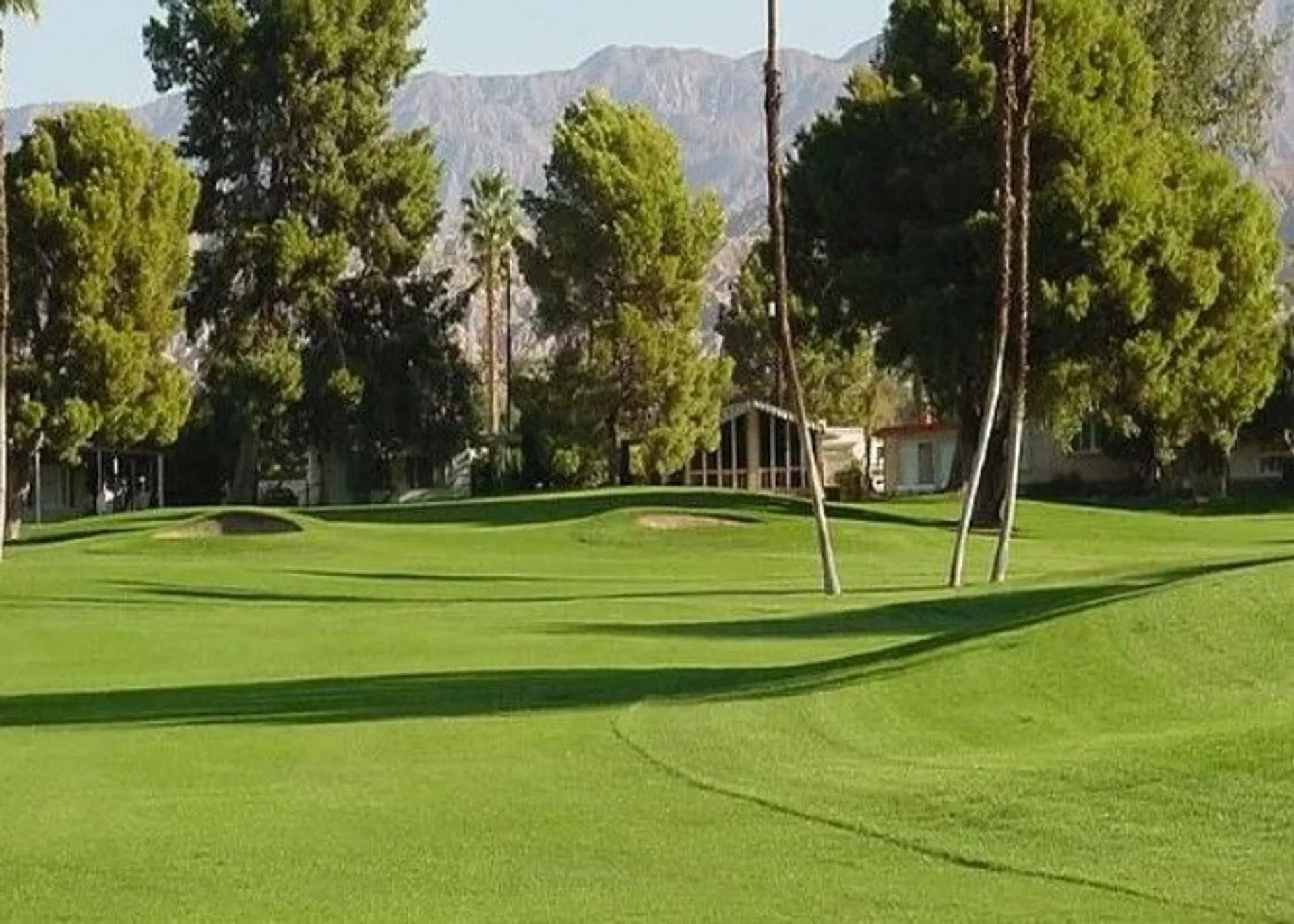Golf course photo