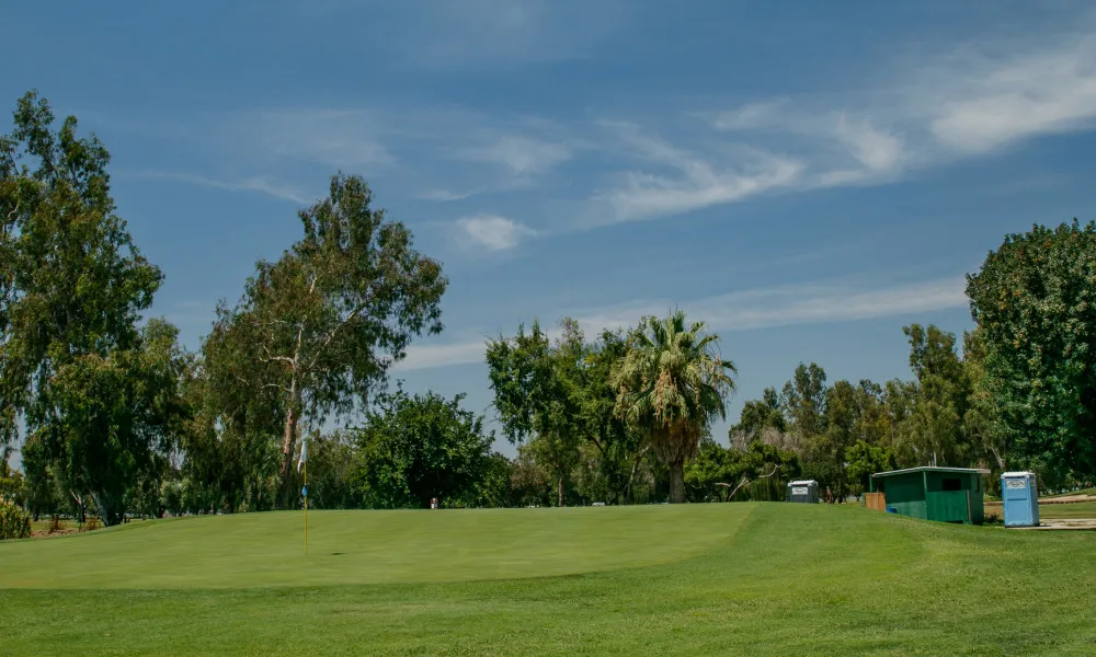 Golf course photo