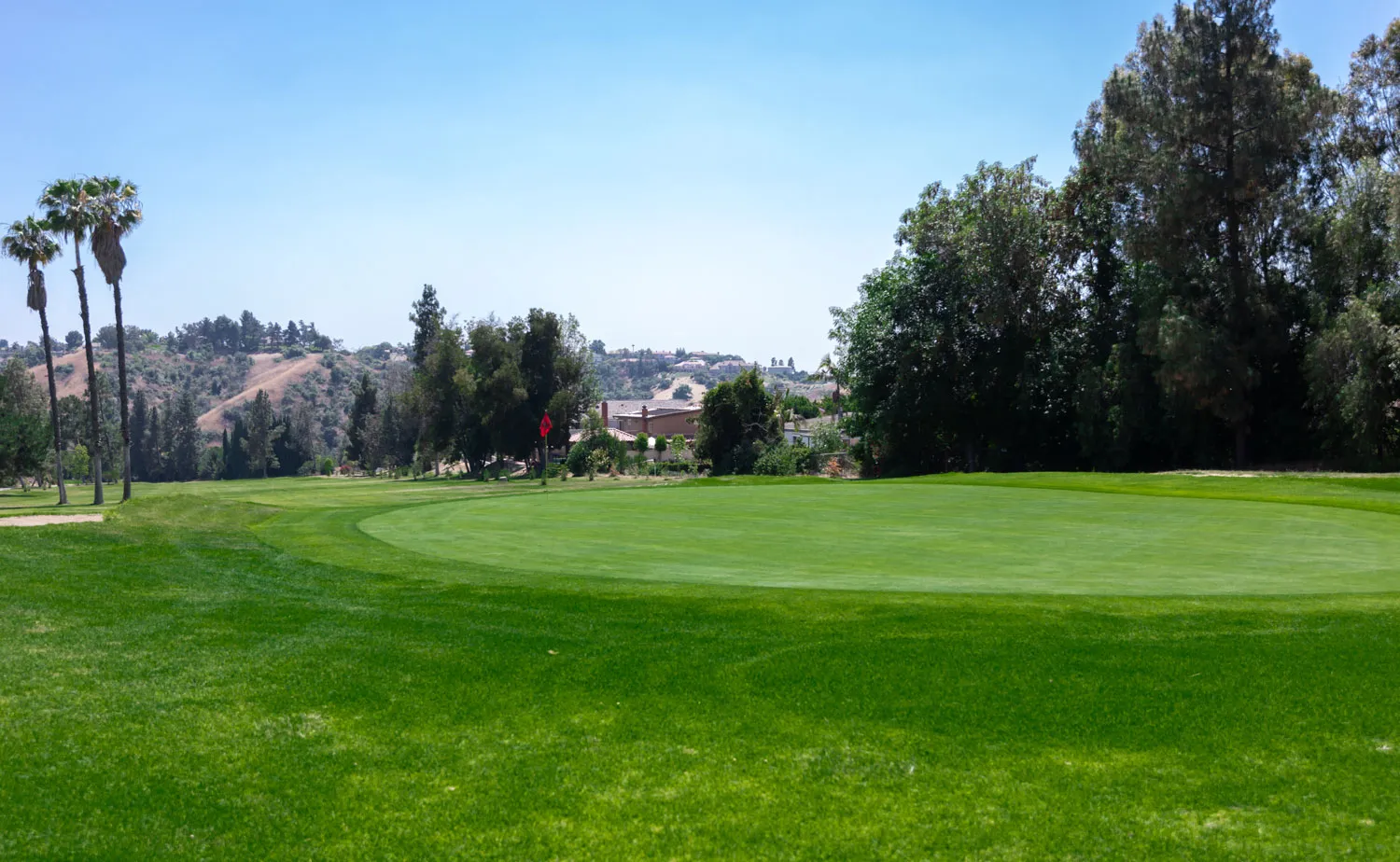 Golf course photo