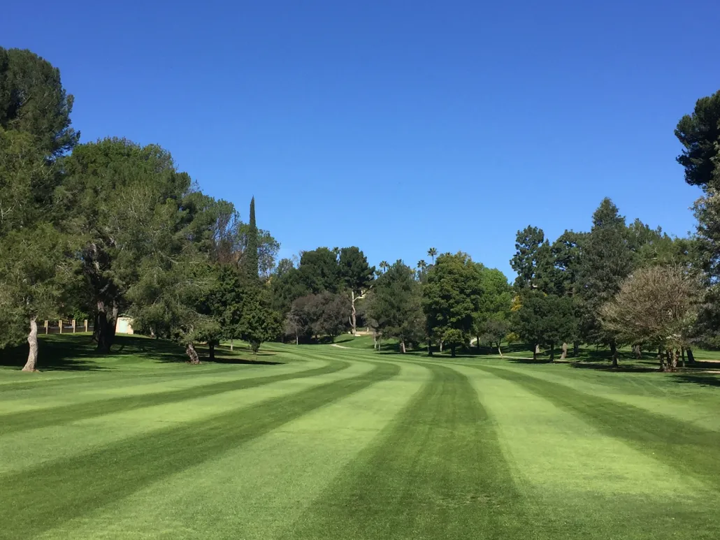 Golf course photo