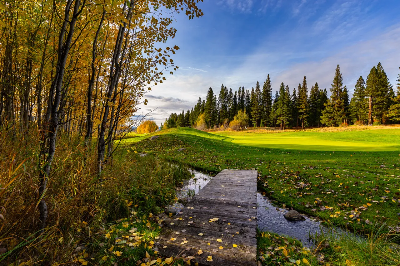 Golf course photo