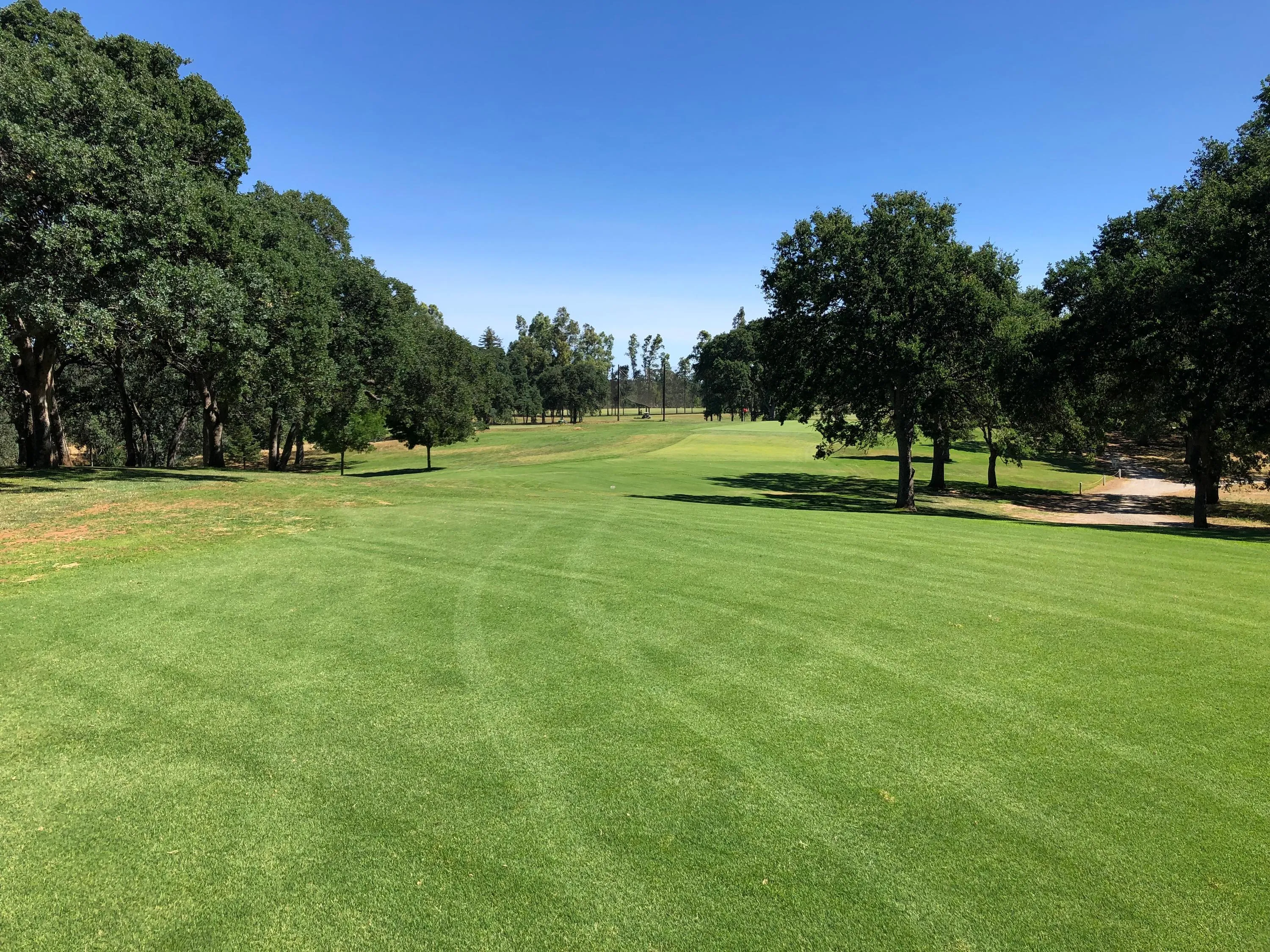 Golf course photo