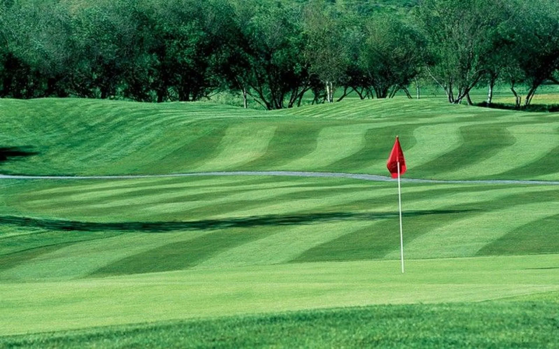Golf course photo