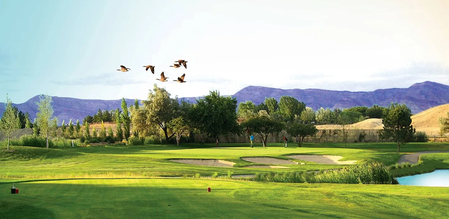 Golf course photo