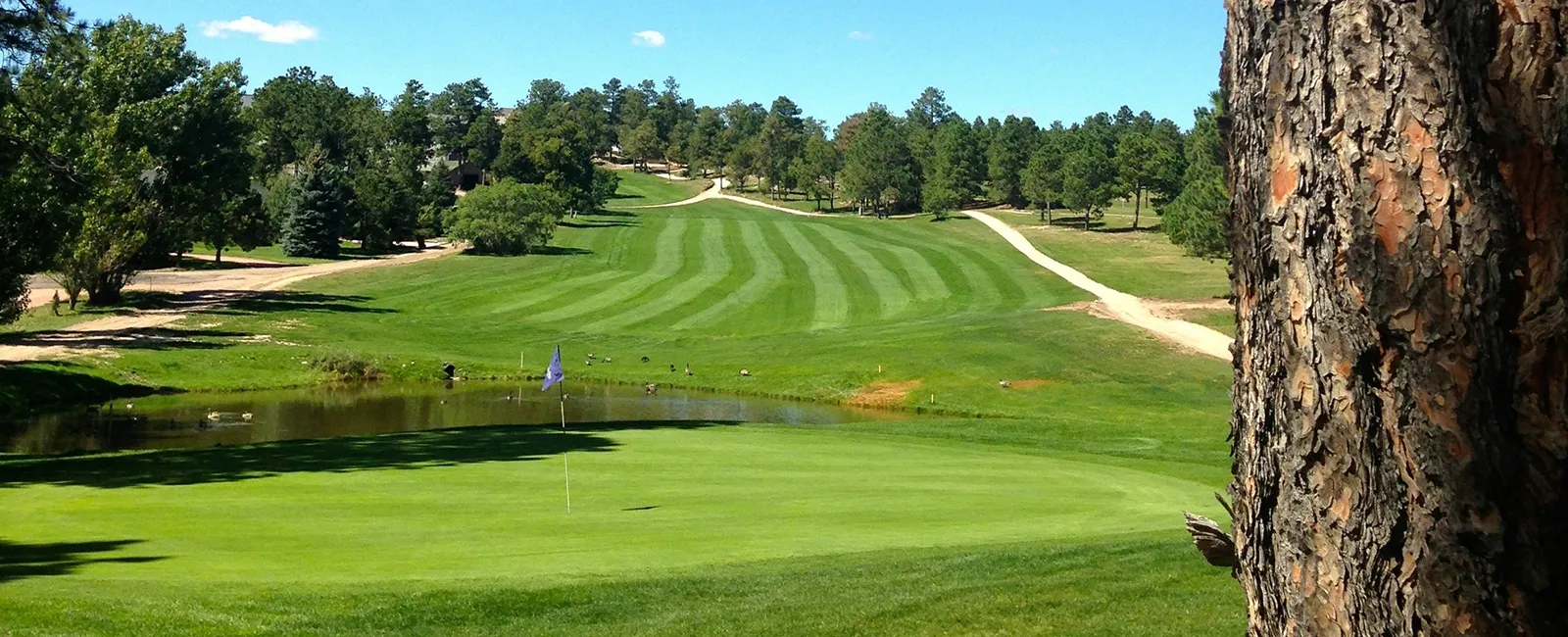 Golf course photo
