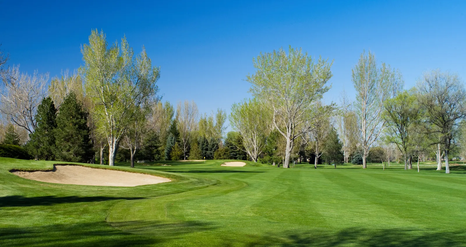 Golf course photo