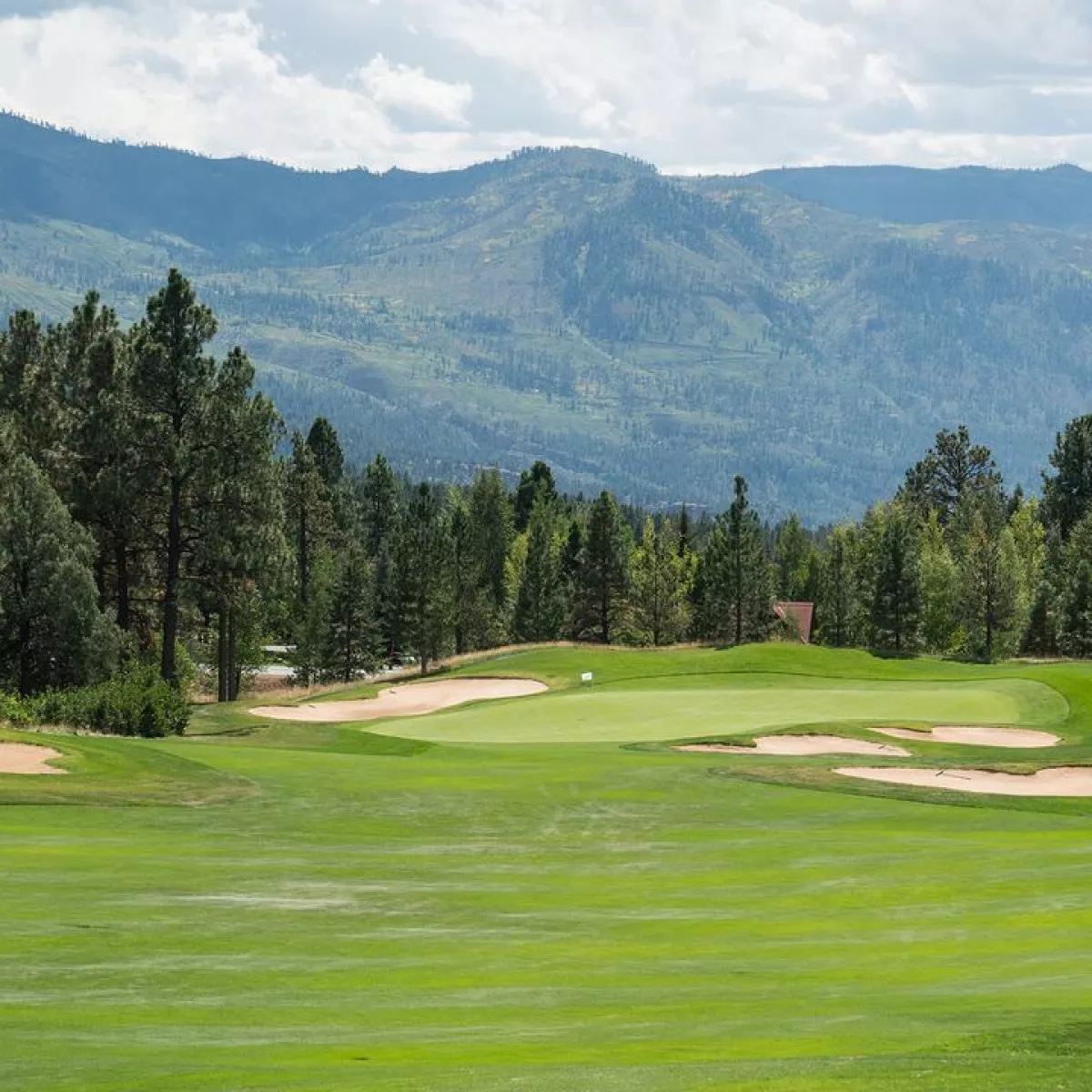 Golf course photo