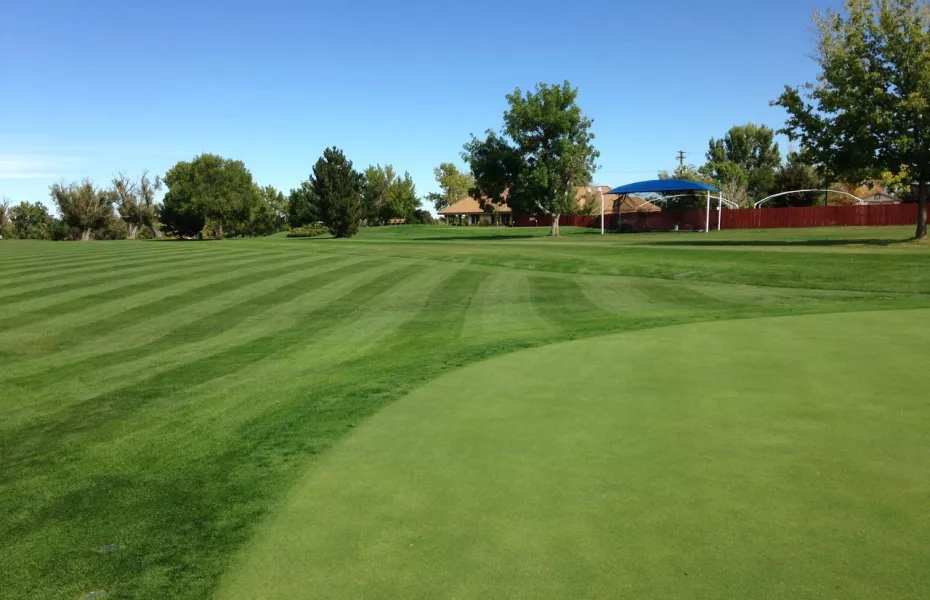 Golf course photo