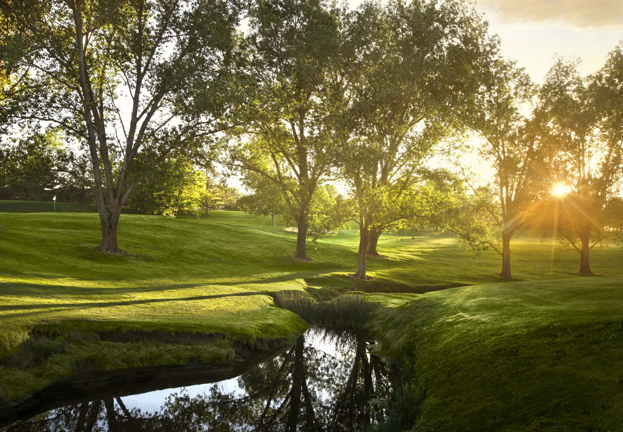 Golf course photo