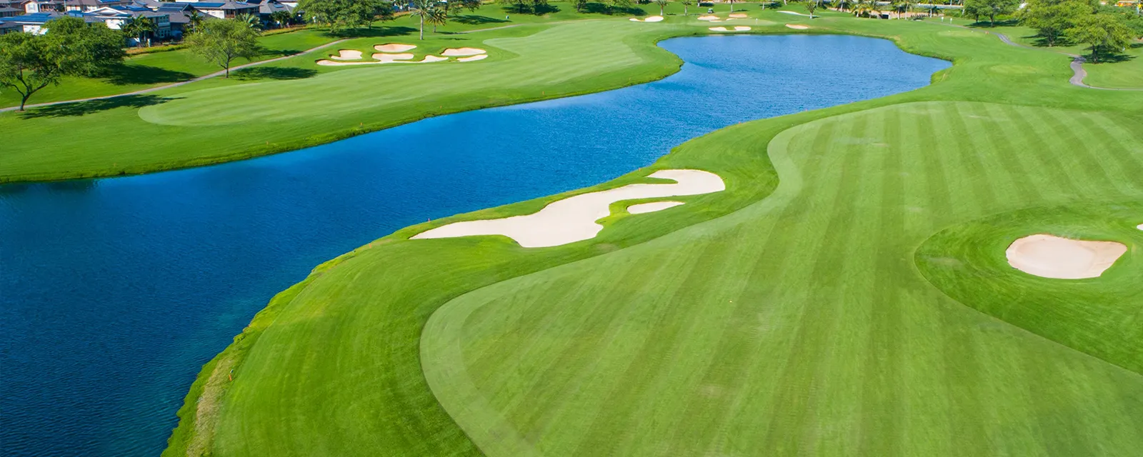 Golf course photo