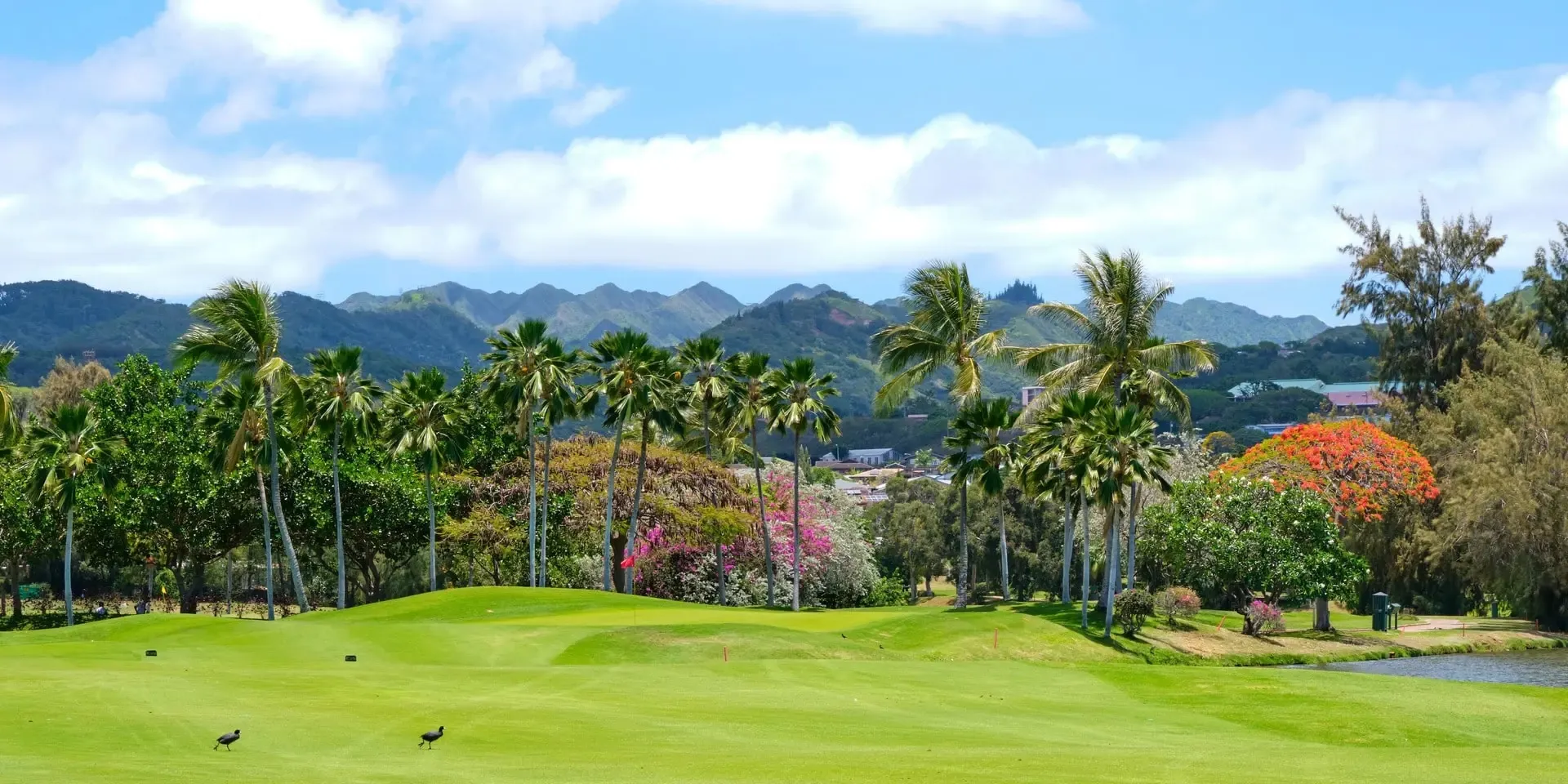 Golf course photo